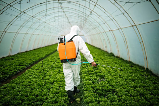 Best Commercial Pest Control Services  in Halstead, KS
