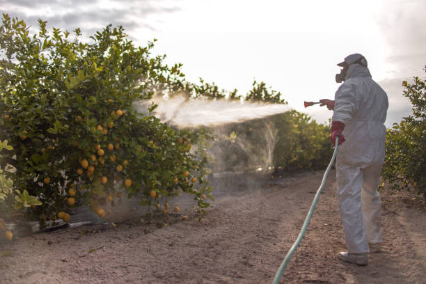Best Rat Extermination Near Me  in Halstead, KS