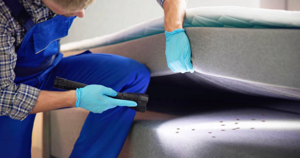 Best Local Pest Control Services  in Halstead, KS