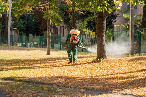 Wasp Removal Services in Halstead, KS