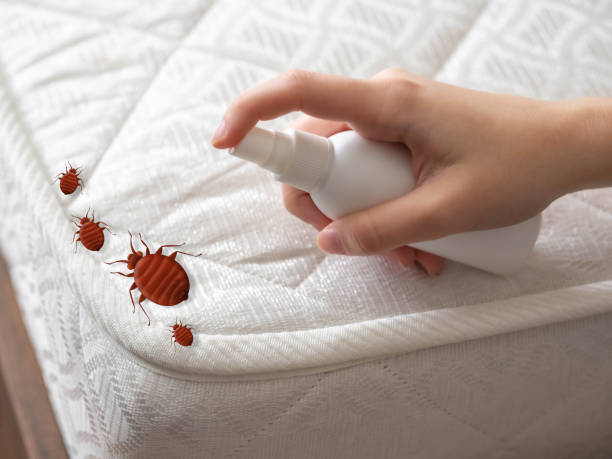 Best Residential Pest Control  in Halstead, KS